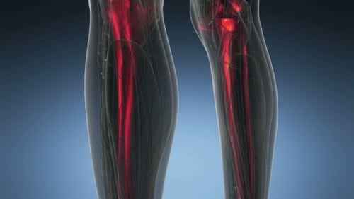 3D Medical Scan of Human Skeleton and Bones with Red Glow