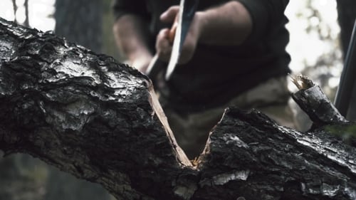 El leñador camina con un hacha por el bosque y elige árboles