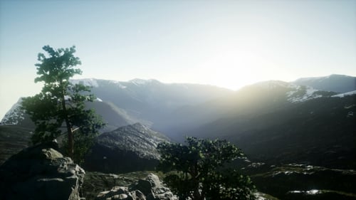 Sun Beams Through Trees
