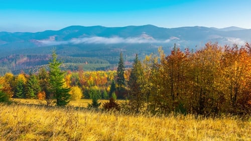 Autumn Mountain Vista with Colorful Trees and Grasses