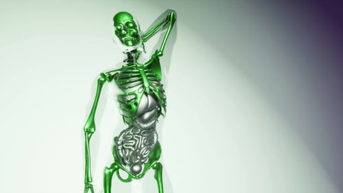 3D Metallic Green Human Skeleton and Internal Organs