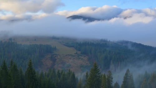 Aerial View of Foggy Mountain Forest