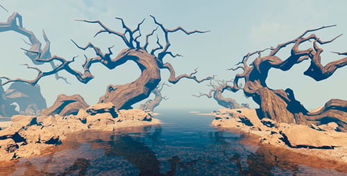 Old Forest In The Swamp