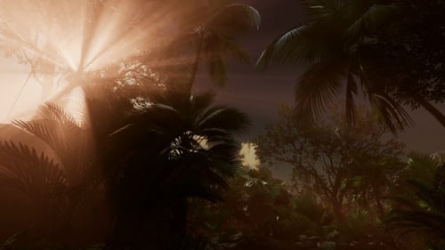 Der Sonnenuntergang strahlt durch Palmen