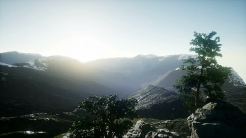 Sun Beams Through Trees