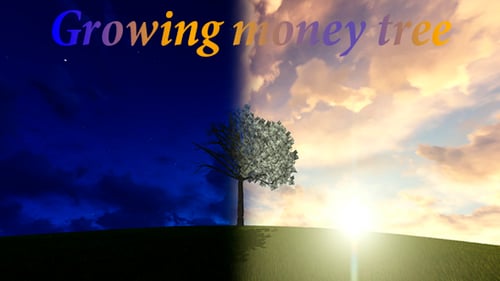 Money Tree Sunrise