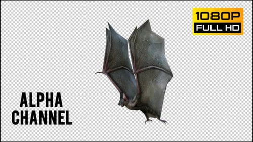 Realistic Flying Bat Loop Animation with Alpha Channel