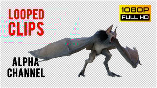 Looped 3D Vampire Bat Creature Flying Animation with Transparent Background