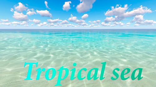 Tropisches Meer