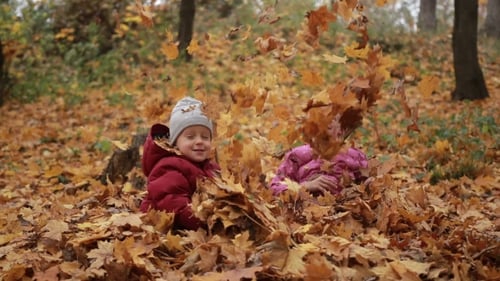 Children Playing in Autumn Leaves