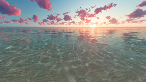 Tropical Sunset