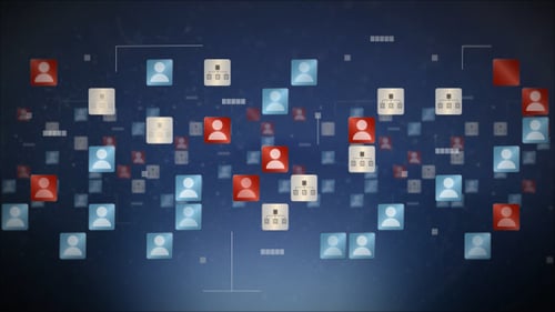 Social Network 2