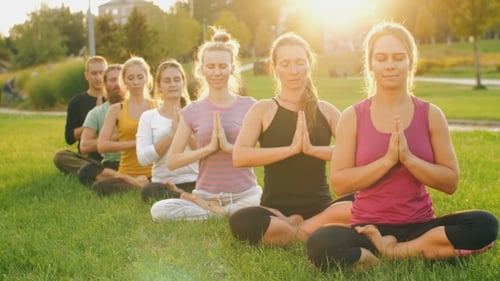 Adults Meditating Outdoors in Sunny Urban Park