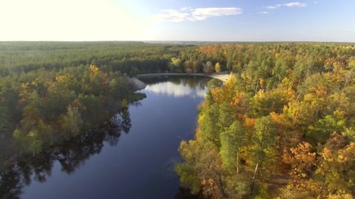 Aerial View Fall Colors Tree Tops Flying Over Autumn Landscape