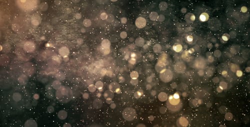 Golden Bokeh Glitter Dust Particles Background Loop