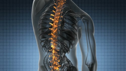 Medical Animation of Glowing Human Spine with Pain in Neck Area