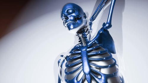 Animated 3D Human Skeleton and Organs Medical Scan