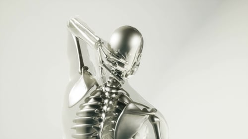 3D Render of Human Skeleton and Organs Scanning Animation
