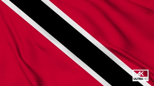 Realistic Waving Trinidad and Tobago National Flag Seamless Loop