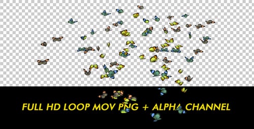 Бабочки - Разноцветный рой - Петля с изменяемым размером