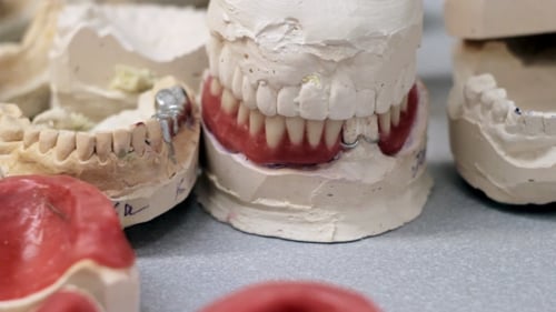Dental Molds for Medical Purposes, Close Up