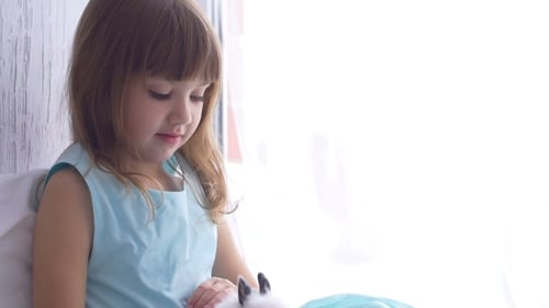 Girl Pets White Rabbit Indoors by Window