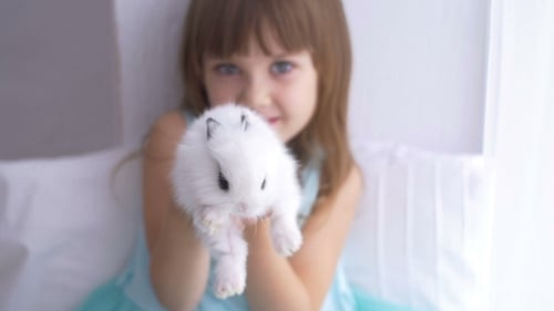 Young Girl Cradling a Fluffy White Rabbit