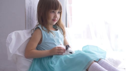 Little Girl with Rabbit Sitting by Window