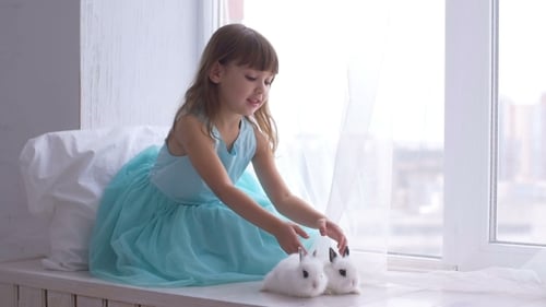 Child Petting Rabbits on Sunny Window Sill