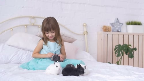 Girl Enjoys Pet Rabbits on Bed