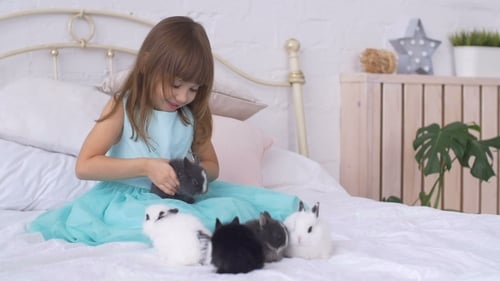 Girl plays with bunnies on the bed