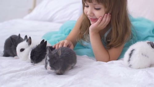 Smiling Girl Petted Baby Bunnies on White Bed
