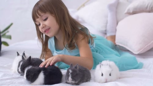 Child Pets Bunnies on Bed
