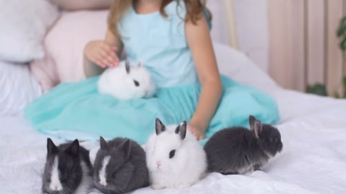 Girl with Bunnies on Bed Indoors