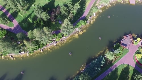 Images aériennes de vols d'oies sur la rivière par Drone