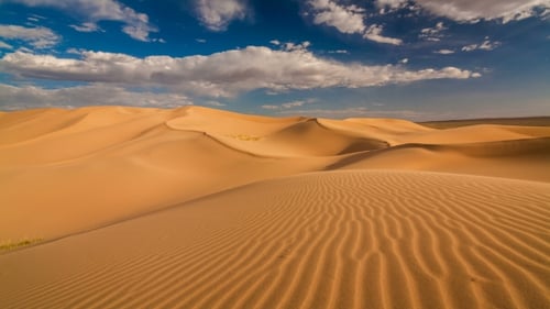 Sunset Over the Sand Dunes in the Desert