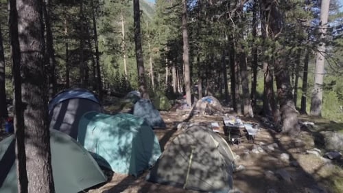 Camping Tent in Summer Forest While Traveling and Hiking Wild Nature Drone View