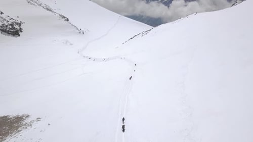 Tourist Group Climbing a Snow Mountain Peak During Winter Trip