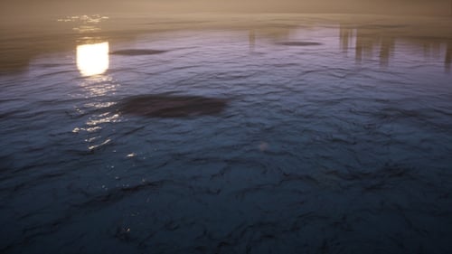 Upper And Underwater