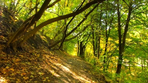 Straße auf Hügeln