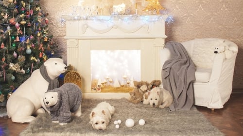 Westies Near Fireplace with Christmas Tree