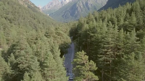 Aerial View Car Driving Along Road Among Green Forest on Mountains Background