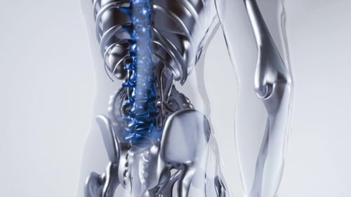 Medical 3D Animation of Human Spine and Skeleton