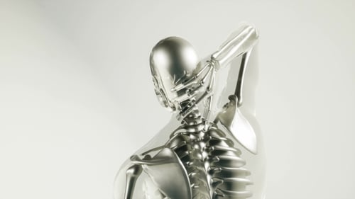 Modern 3D Human Skeleton and Spine Anatomy Medical Animation
