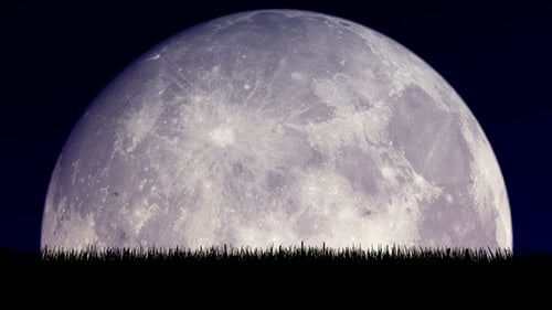 Lune et herbe
