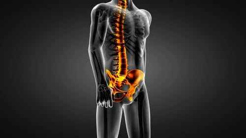 Human Bones Radiographic Scan