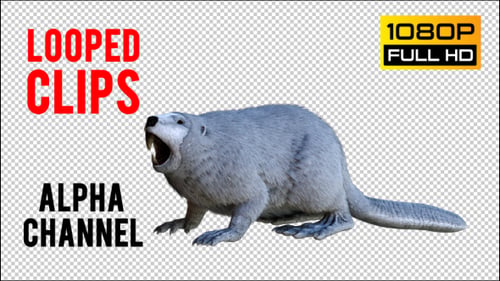Beaver 1 Realistic Pack 3