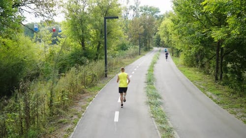 People Jogging on Road Between Trees