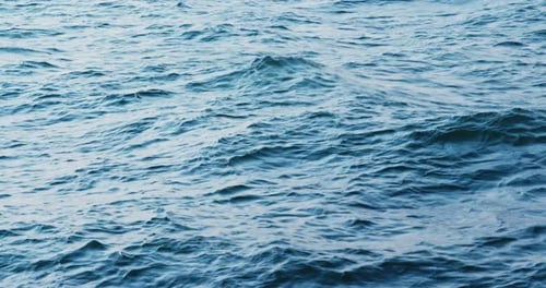 Sea and ocean wave