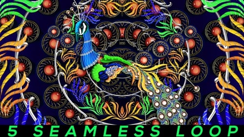 Animated Decorative Peacock Patterns and Swirling Ornaments Background
